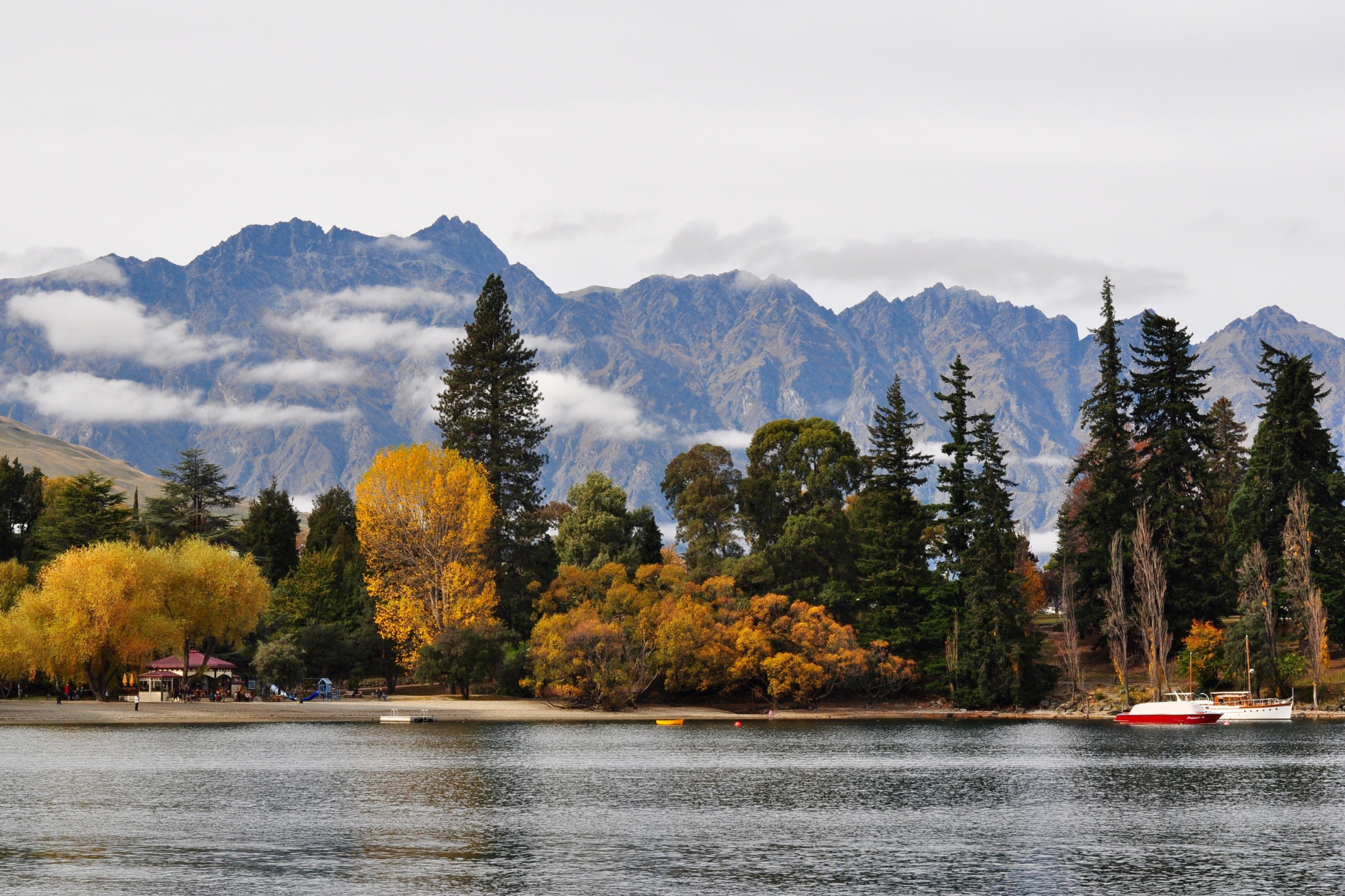 campbell island (3).webp